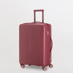 Trolley M - Rigido - Flexitech